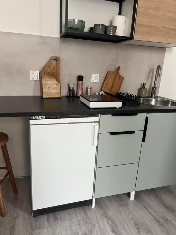 Apartament Wierzbiecice 44 * Poznań